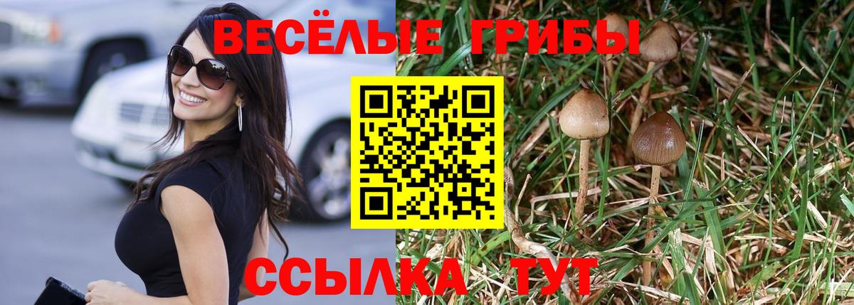 Псилоцибиновые грибы Magic Shrooms Чусовой